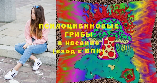 прущая мука Абаза